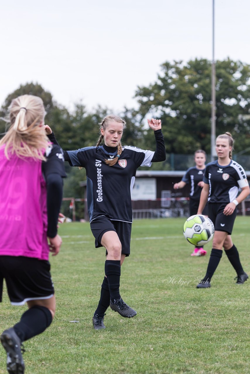 Bild 53 - Frauen Grossenasper SV - SV Steinhorst/Labenz : Ergebnis: 1:3